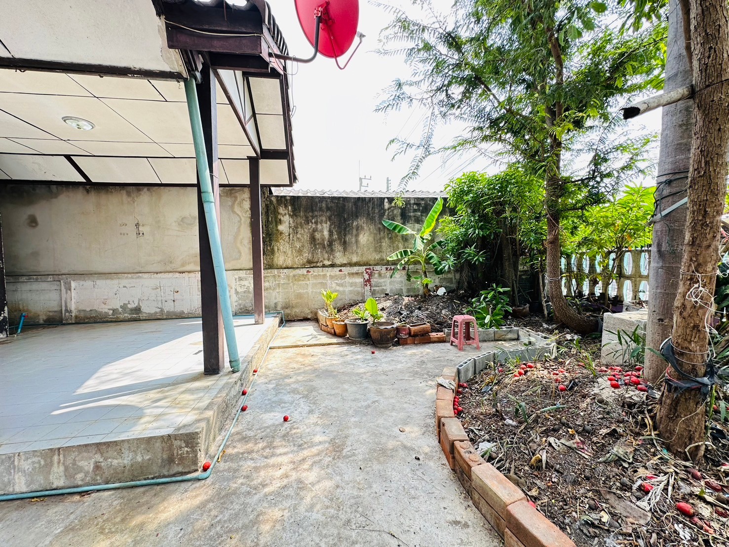 7EF68EBC 781B 485B A595 A92BF914F5F6