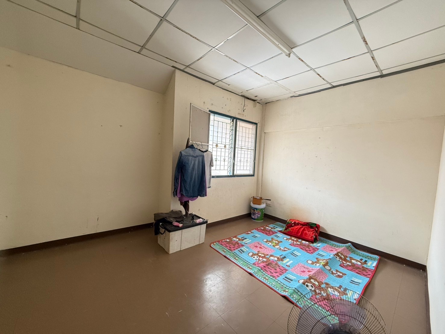 LINE ALBUM 41167 241104 12